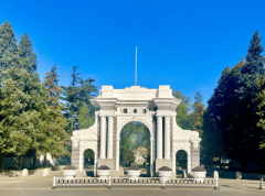 阿里巴巴、海康威视都来抢人；国内分析性院校