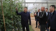 年农业减产、农人增收奠基根本